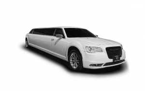 10 Passenger Stretch Limousines (Silver & White)