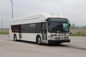 12 Passenger Entertainer Bus